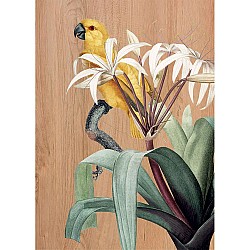 Yellow Parrots πίνακας διακόσμησης ξύλου L (21657)